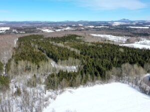 Danville (Estrie) : Terre à bois droit constr.
