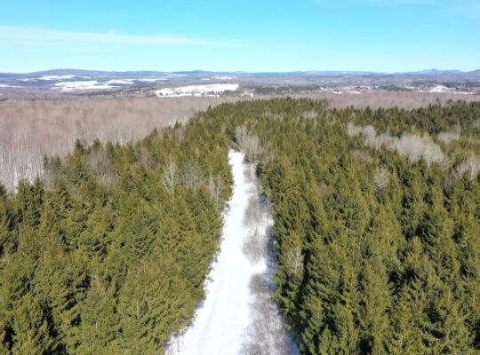 Danville (Estrie) : Terre à bois droit constr.