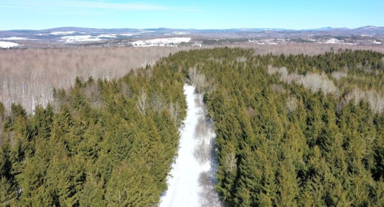 Danville (Estrie) : Terre à bois droit constr.
