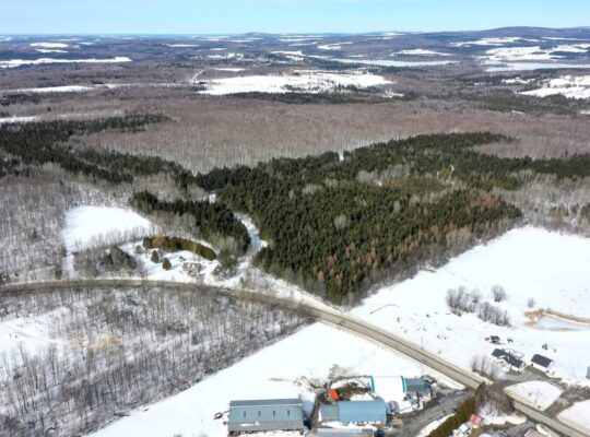 Danville (Estrie) : Terre à bois droit constr.