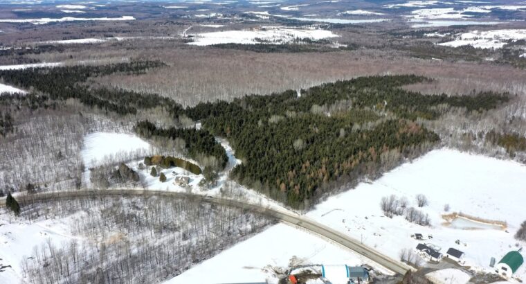 Danville (Estrie) : Terre à bois droit constr.