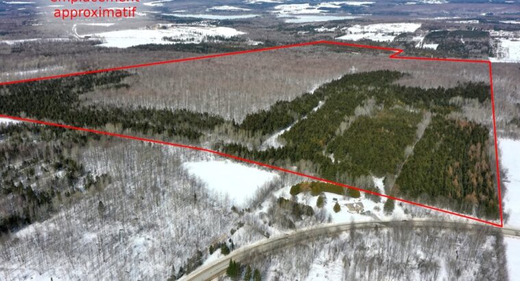 Danville (Estrie) : Terre à bois droit constr.