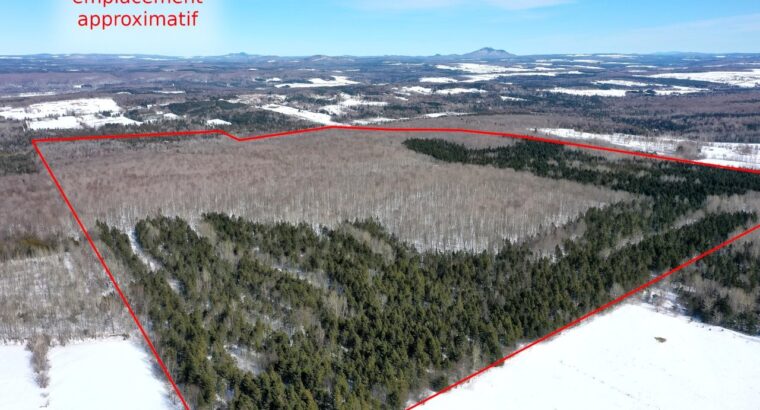 Danville (Estrie) : Terre à bois droit constr.