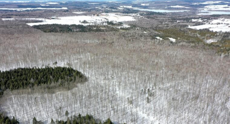 Danville (Estrie) : Terre à bois droit constr.
