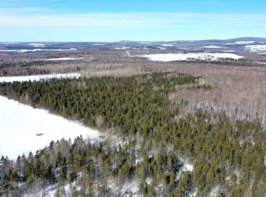 Danville (Estrie) : Terre à bois droit constr.