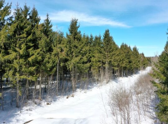 Danville (Estrie) : Terre à bois droit constr.