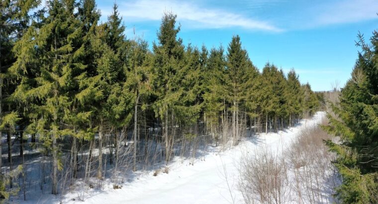 Danville (Estrie) : Terre à bois droit constr.