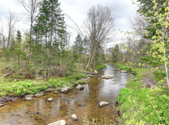 Stoke (Estrie): Érablière 5200 entailles, 19200 lb