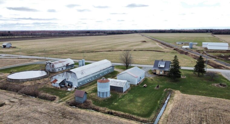 St-Wenceslas (Centre-du-Québec) : Fermette 2 acres