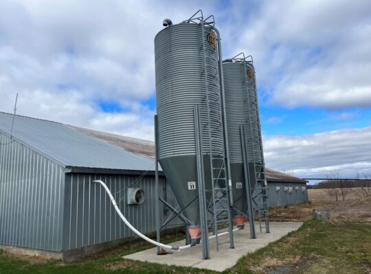 St-Wenceslas (Centre-du-Québec) : Fermette 2 acres