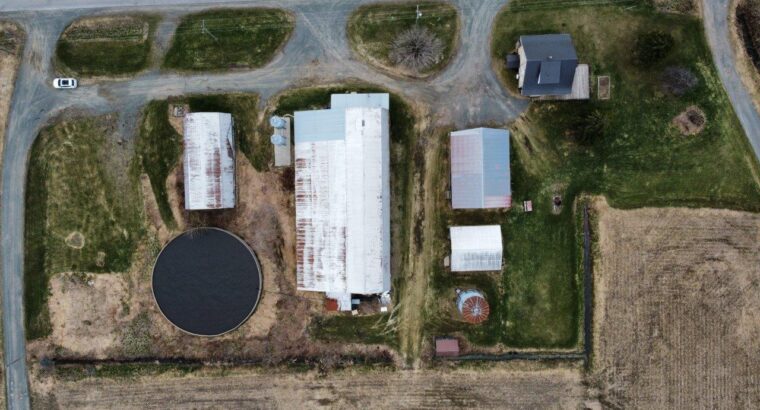 St-Wenceslas (Centre-du-Québec) : Fermette 2 acres