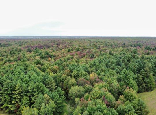 Ste-Cécile-de-Milton : Ferme 103 acres