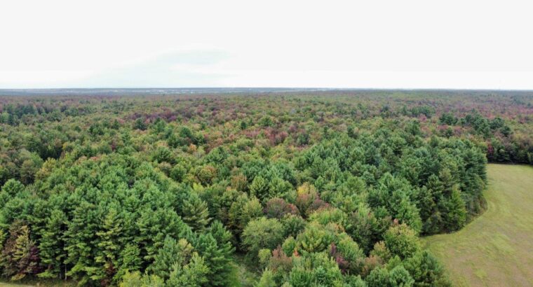 Ste-Cécile-de-Milton : Ferme 103 acres