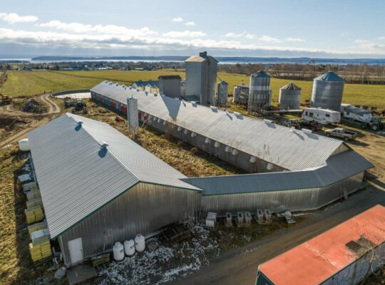St-Joachim près de Québec, bâtiments agr. 3.75 acr