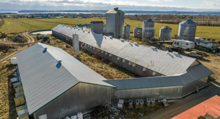 St-Joachim près de Québec, bâtiments agr. 3.75 acr