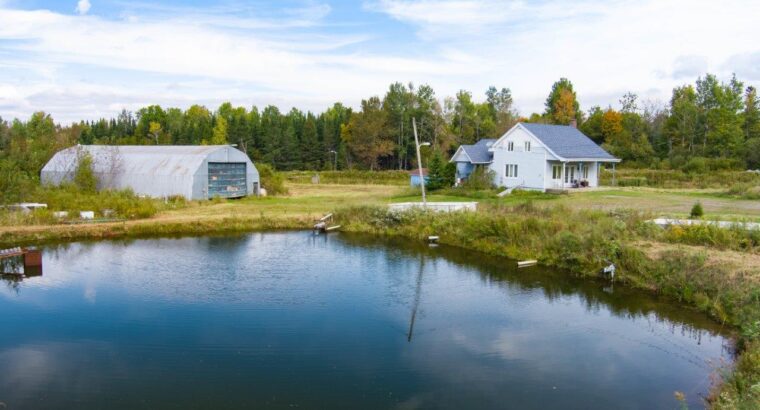 La Patrie, Hampden, 111 acres, étangs, maison