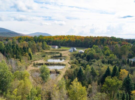 La Patrie, Hampden, 111 acres, étangs, maison
