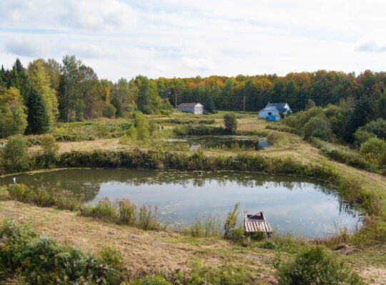 La Patrie, Hampden, 111 acres, étangs, maison