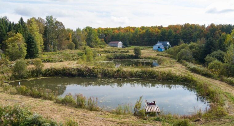 La Patrie, Hampden, 111 acres, étangs, maison