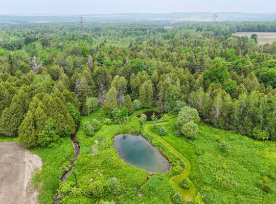 Tingwick (Centre-du-Québec) : Domaine 27 acres