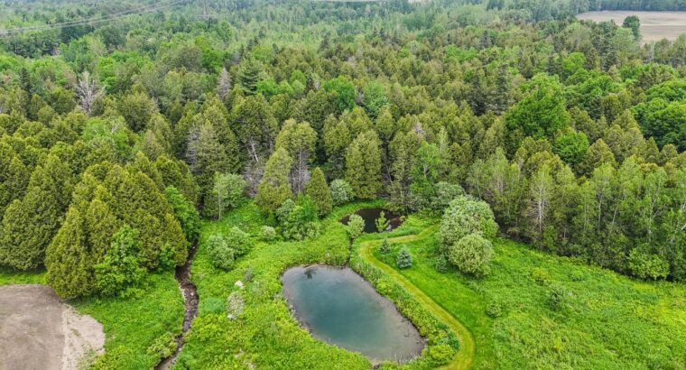 Tingwick (Centre-du-Québec) : Domaine 27 acres