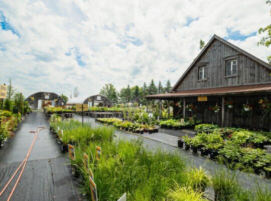 St-Ours, centre de jardin bord de l’eau