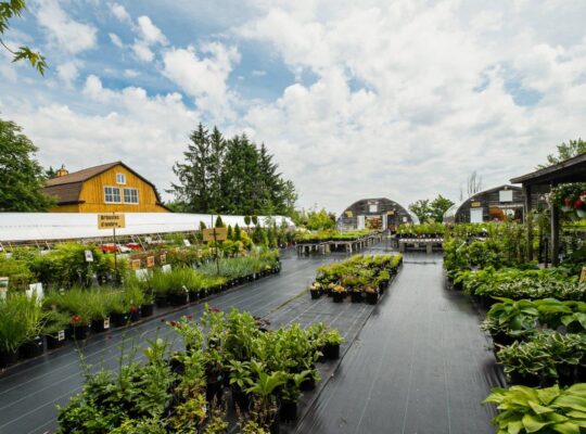 St-Ours, centre de jardin bord de l’eau