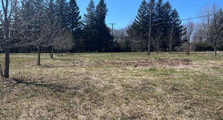 St-Jérôme : Terre 13 acres pour maraîcher, hangar