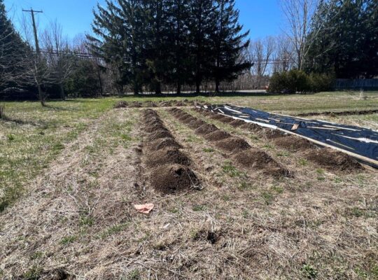 St-Jérôme : Terre 13 acres pour maraîcher, hangar