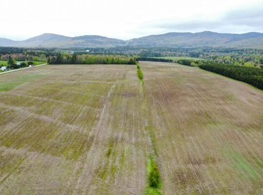 Chartierville , terre agricole 112 acres, 88 acres