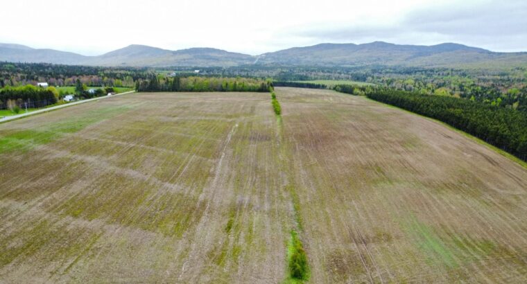 Chartierville , terre agricole 112 acres, 88 acres