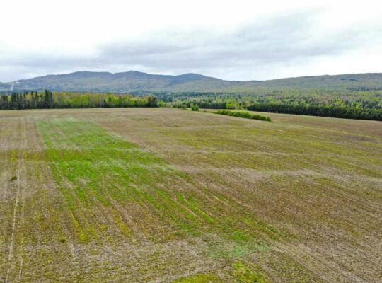 Chartierville , terre agricole 112 acres, 88 acres