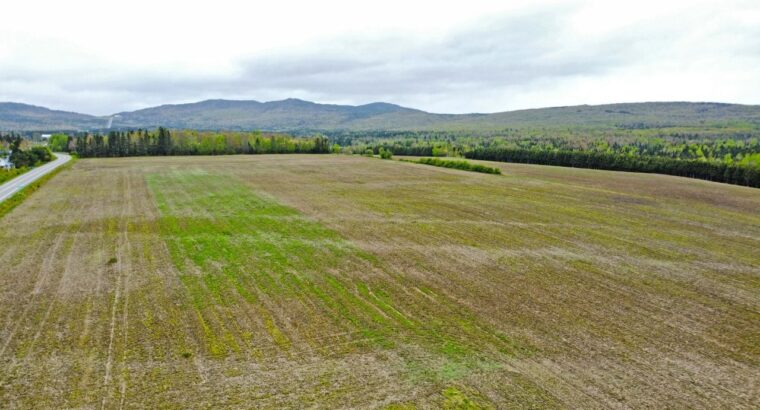 Chartierville , terre agricole 112 acres, 88 acres
