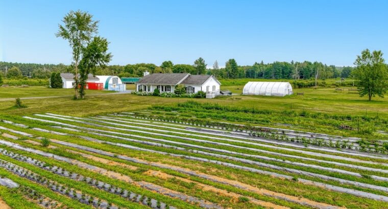 Ste-Sophie (Laurentides) : Domaine équestre 49 acr