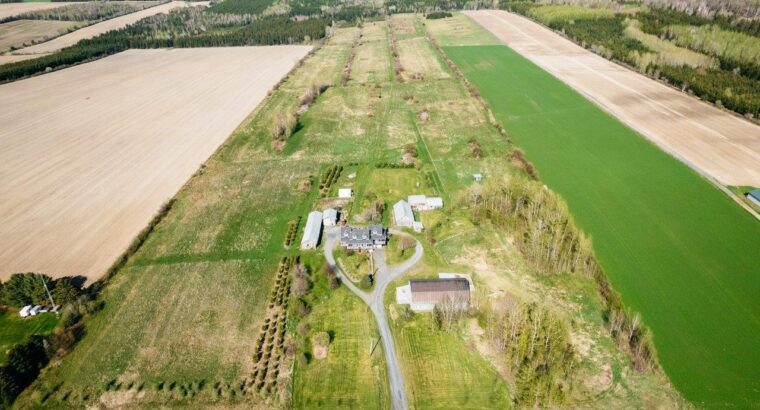 St-Gédéon-de-Beauce Fermette 78.98 acres