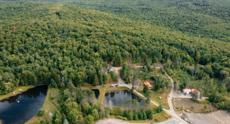 La Patrie (Estrie) : Érablière à vendre de 42 hect
