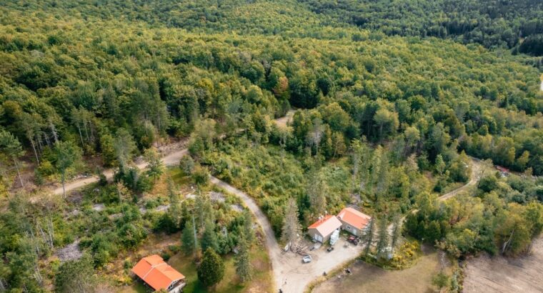 La Patrie (Estrie) : Érablière à vendre de 42 hect