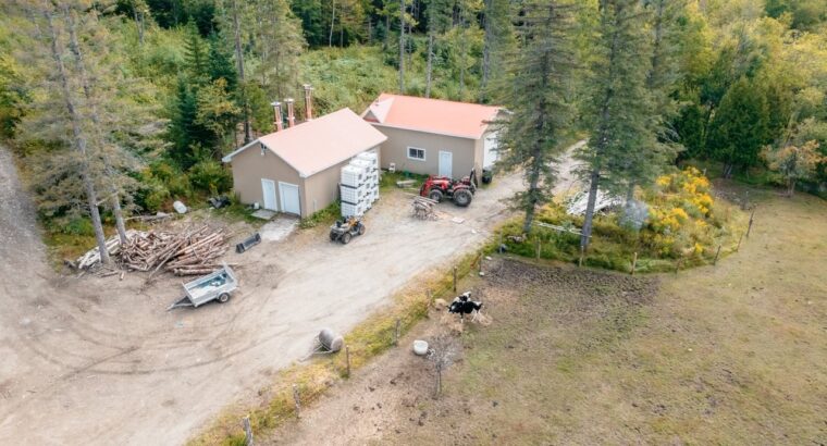 La Patrie (Estrie) : Érablière à vendre de 42 hect
