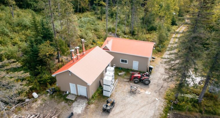 La Patrie (Estrie) : Érablière à vendre de 42 hect
