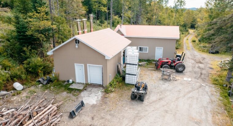 La Patrie (Estrie) : Érablière à vendre de 42 hect