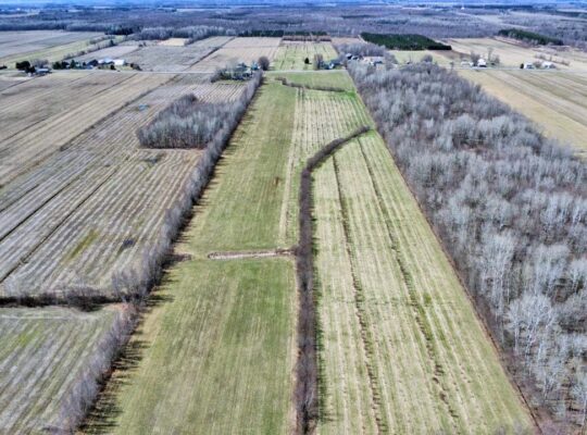 St-Sylvère (Centre-du-Québec) : Ferme 108 acres