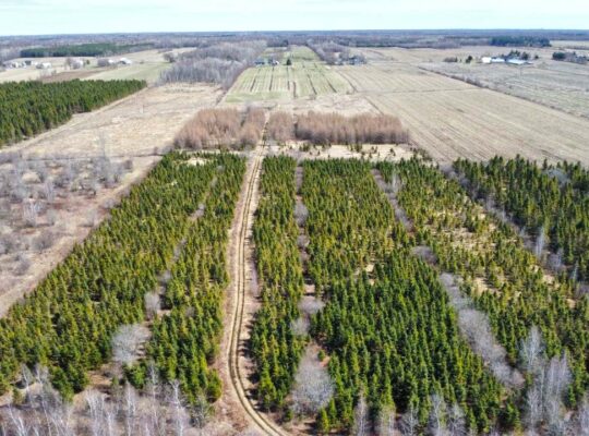 St-Sylvère (Centre-du-Québec) : Ferme 108 acres