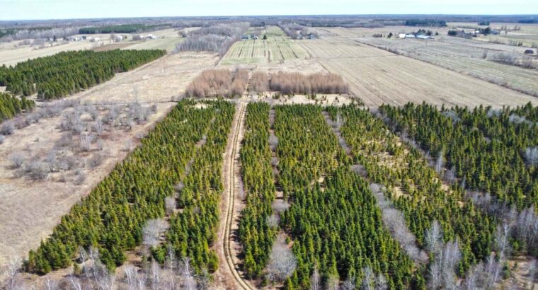 St-Sylvère (Centre-du-Québec) : Ferme 108 acres