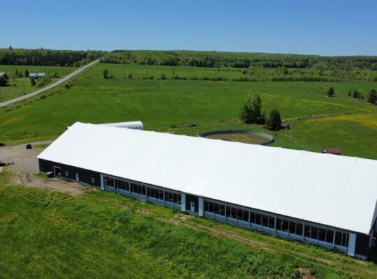 St-Camille : Ferme de chèvres laitières 158 acres,