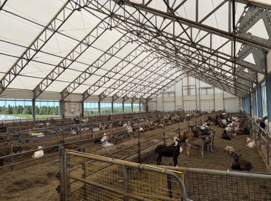 St-Camille : Ferme de chèvres laitières 158 acres,