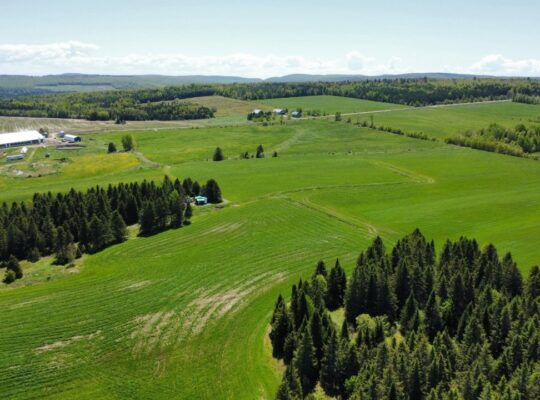 St-Camille : Ferme de chèvres laitières 158 acres,