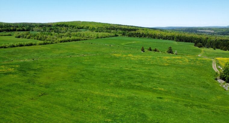 St-Camille : Ferme de chèvres laitières 158 acres,