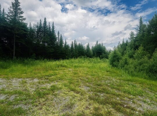Milan (Estrie) : Terre pour chasse droit de constr