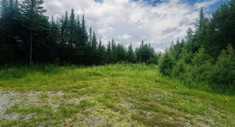 Milan (Estrie) : Terre pour chasse droit de constr
