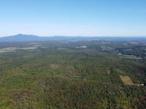 Magog terre à bois constructible; wooded lot